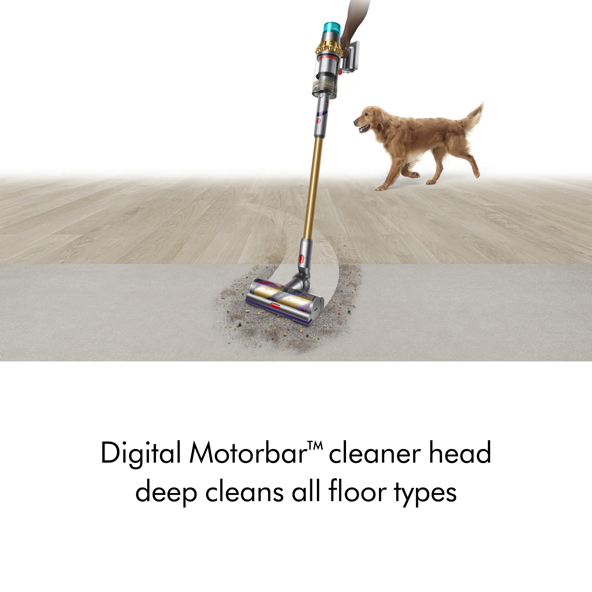 Dyson V15 Detect Absolute Cordless Vacuum image 3